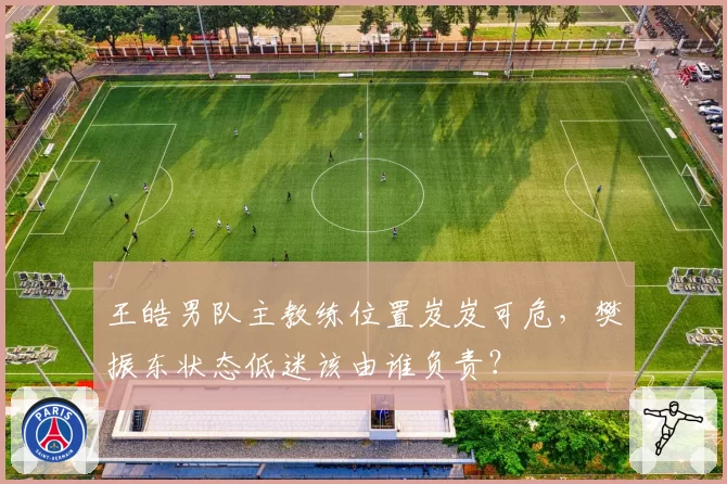 王皓男队主教练位置岌岌可危,樊振东状态低迷该由谁负责?