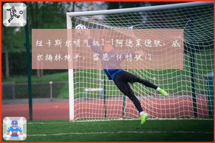 纽卡斯尔喷气机1-1阿德莱德联，威尔梅林绝平，雷恩-怀特破门