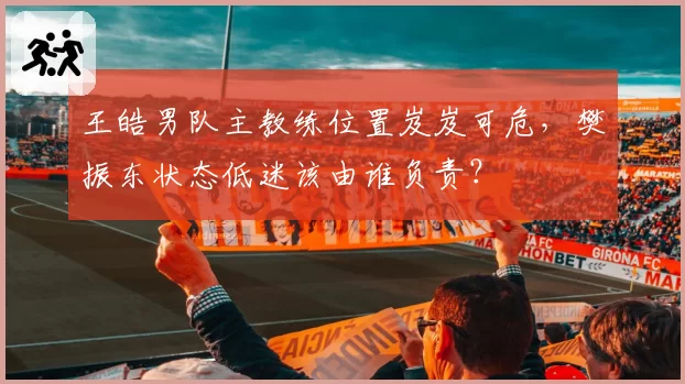 王皓男队主教练位置岌岌可危，樊振东状态低迷该由谁负责？