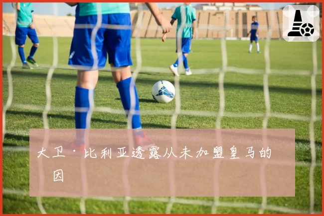 大卫·比利亚透露从未加盟皇马的原因