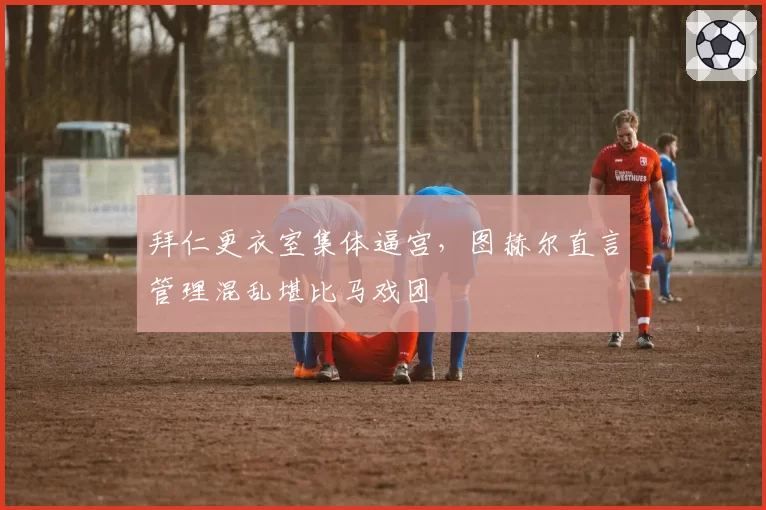 拜仁更衣室集体逼宫,图赫尔直言管理混乱堪比马戏团