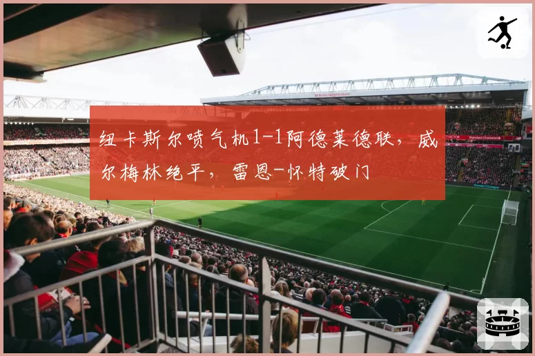 纽卡斯尔喷气机1-1阿德莱德联，威尔梅林绝平，雷恩-怀特破门